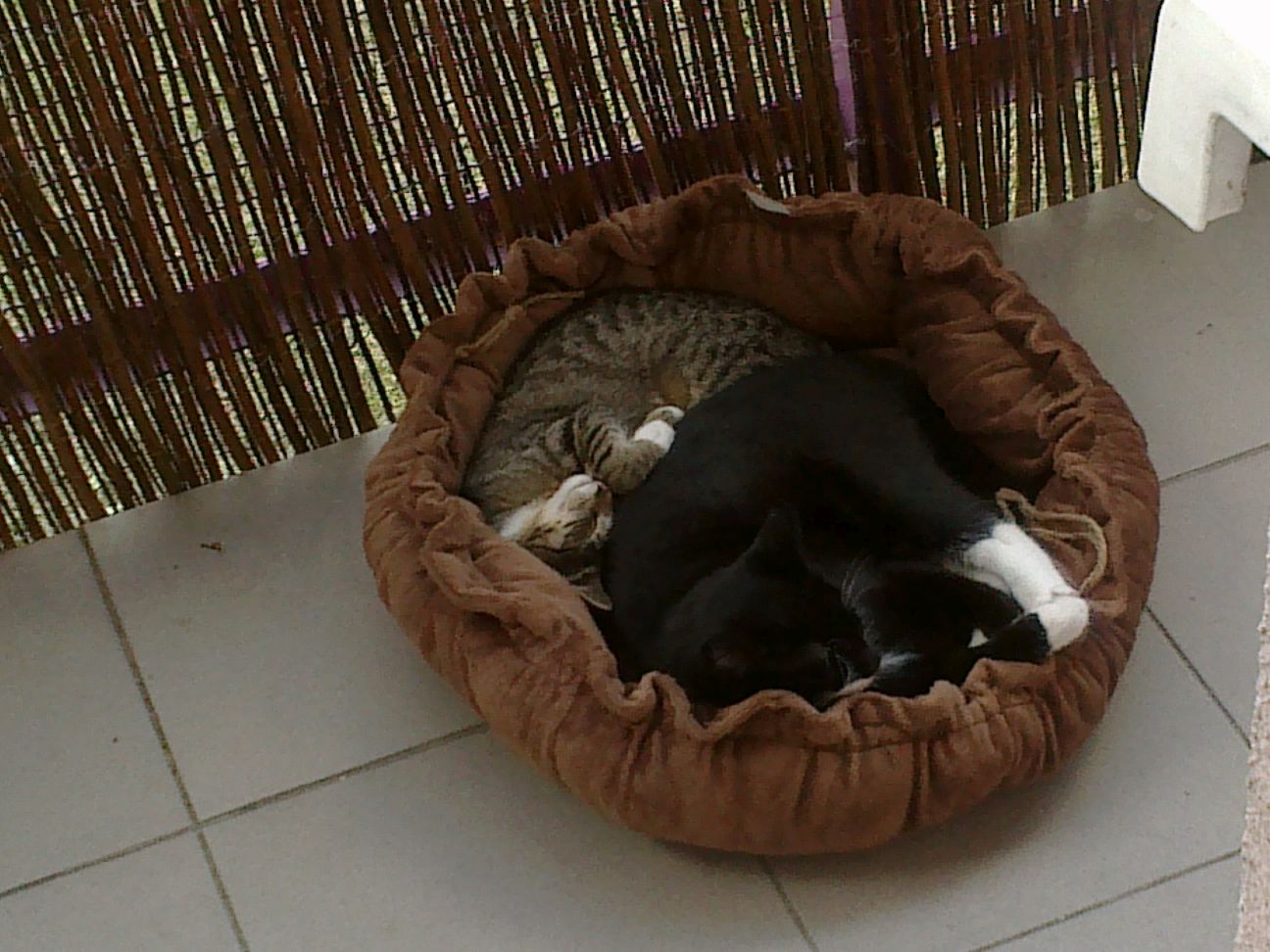 201408283391