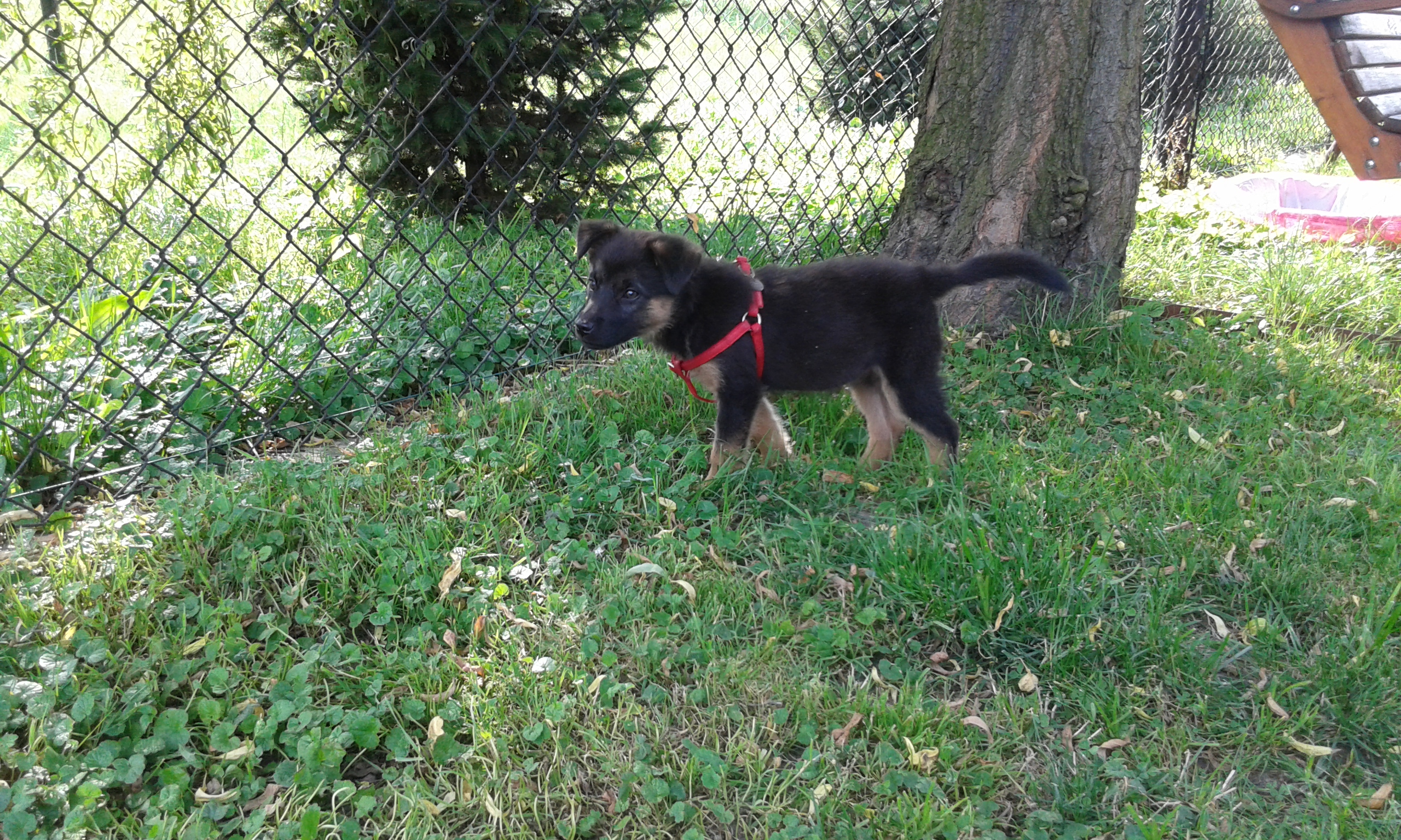 Chrwacja-i-Luka-028