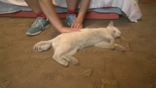 WP_20140826_017