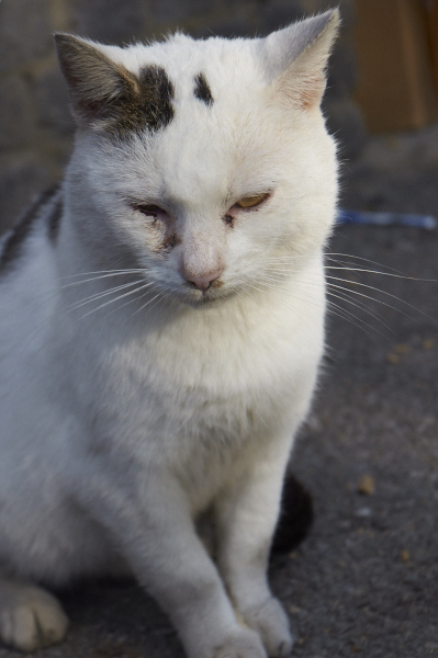 DSC_0212-1