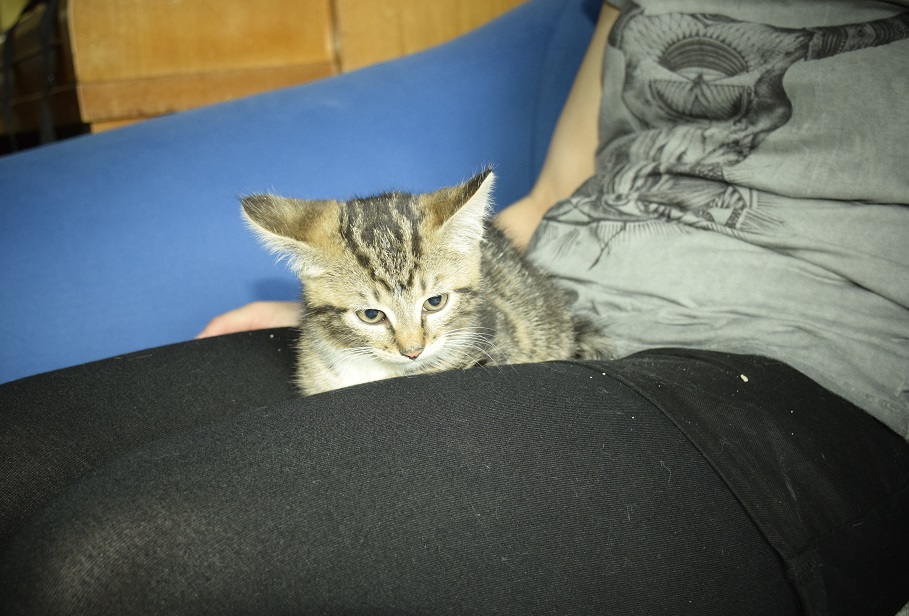 DSC0397