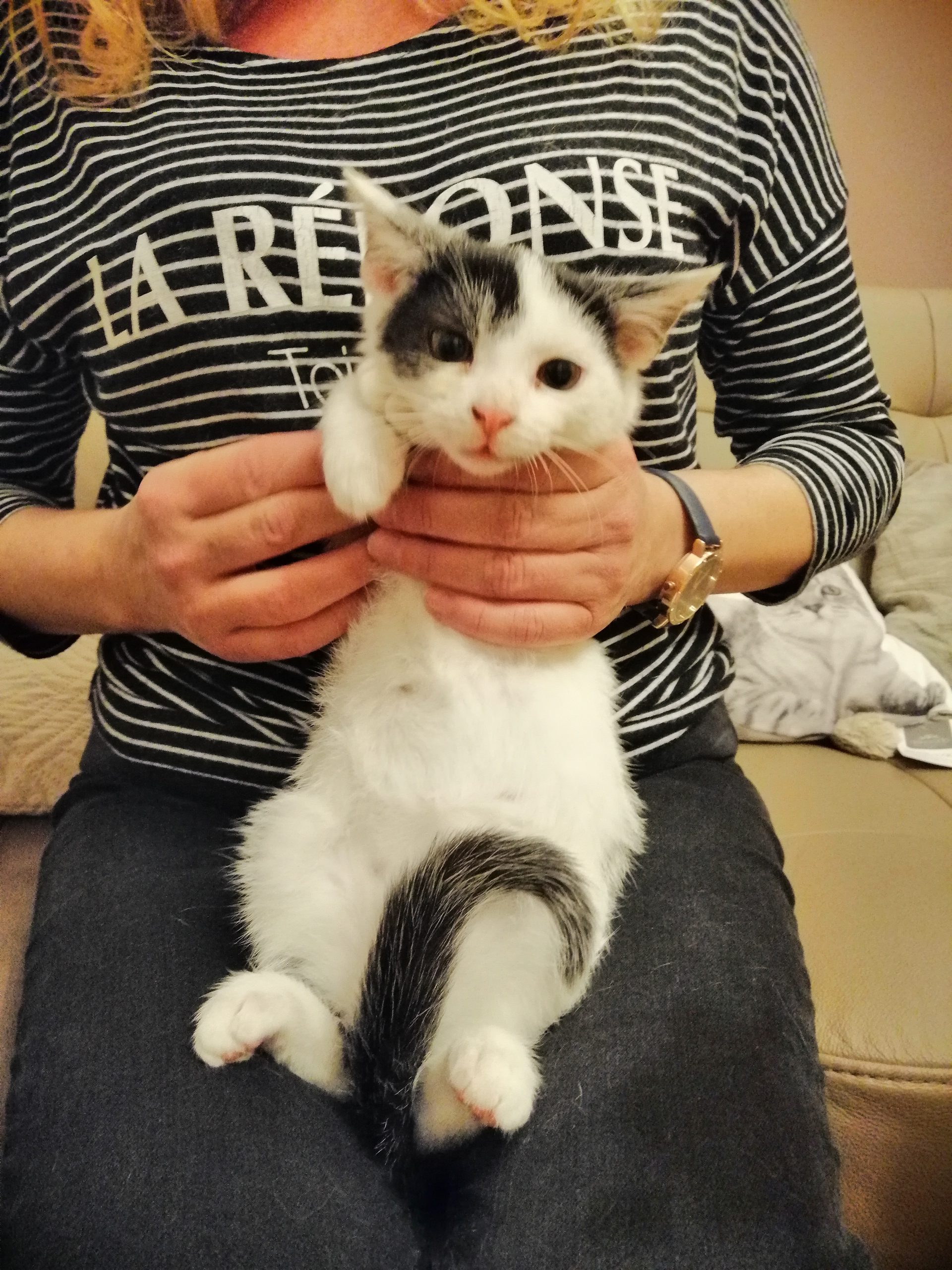morelka-scaled